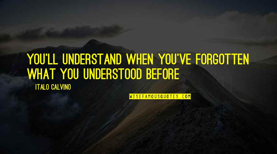 Winicjusz Kossakowski Quotes By Italo Calvino: You'll understand when you've forgotten what you understood