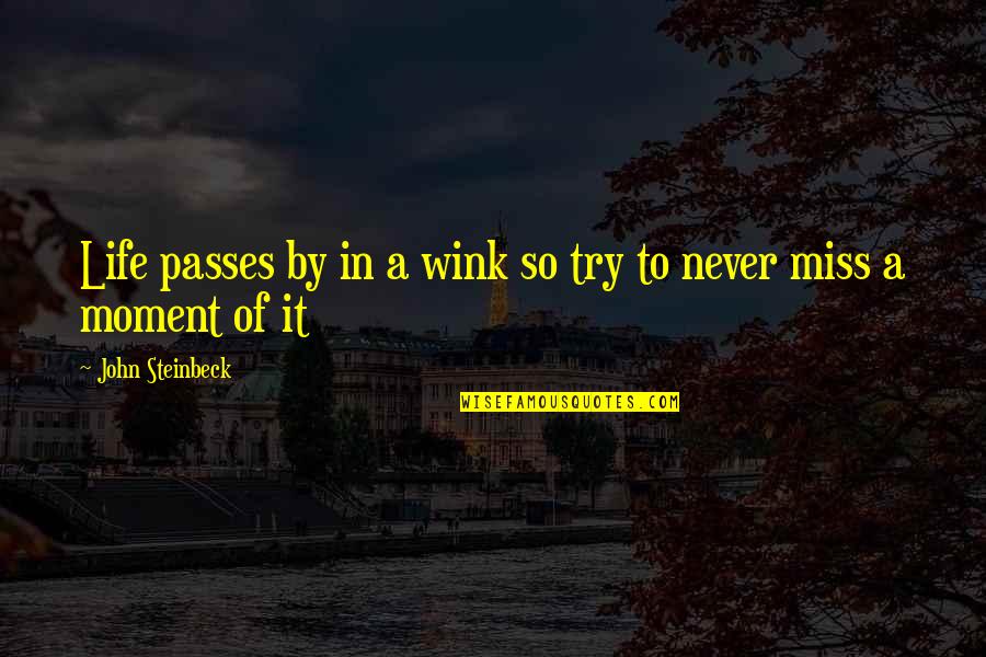 Wink'd Quotes By John Steinbeck: Life passes by in a wink so try