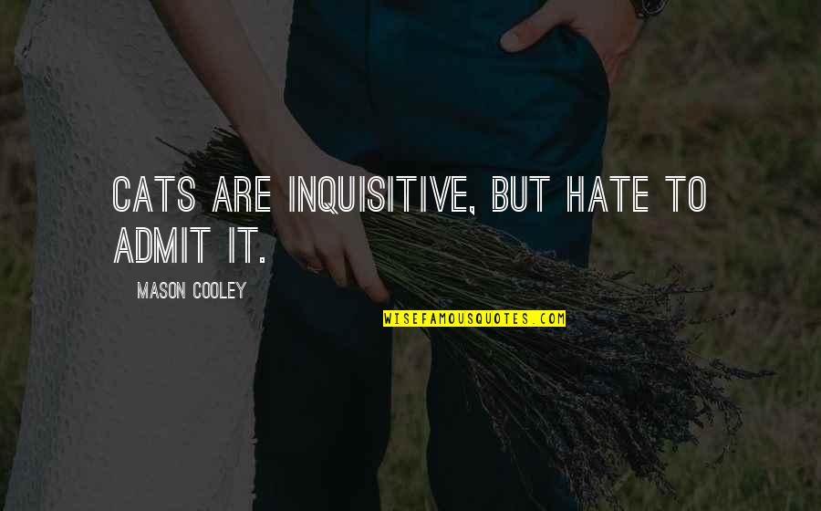 Winners Never Give Up Quotes By Mason Cooley: Cats are inquisitive, but hate to admit it. Winners Never Give Up Quotes By Mason Cooley: Cats are inquisitive, but hate to admit it.