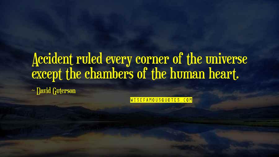 Winnie The Pooh Plaque Quotes By David Guterson: Accident ruled every corner of the universe except Winnie The Pooh Plaque Quotes By David Guterson: Accident ruled every corner of the universe except