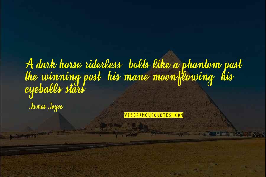 Winning Horse Quotes By James Joyce: A dark horse riderless, bolts like a phantom