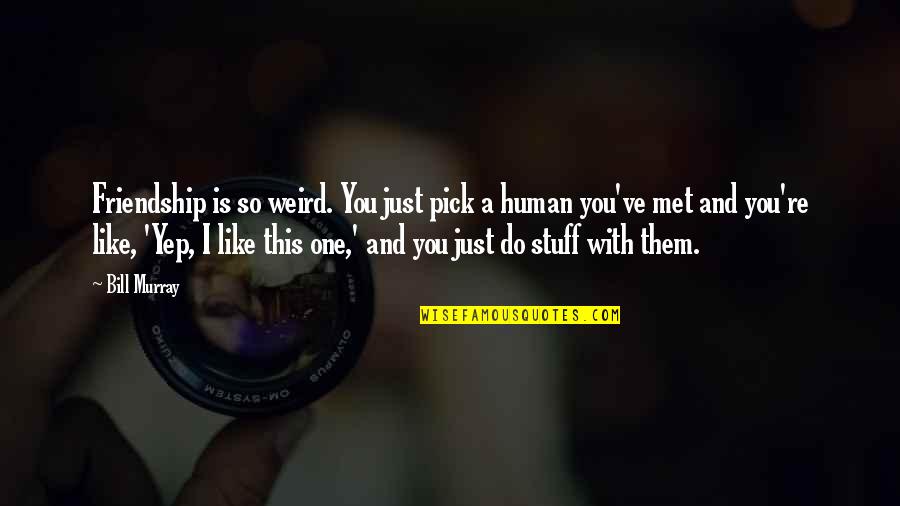 Winning In Sales Quotes By Bill Murray: Friendship is so weird. You just pick a