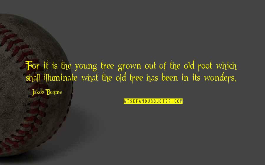 Winning Solves Everything Quotes By Jakob Bohme: For it is the young tree grown out