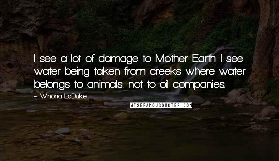 Winona LaDuke quotes: I see a lot of damage to Mother Earth. I see water being taken from creeks where water belongs to animals, not to oil companies.