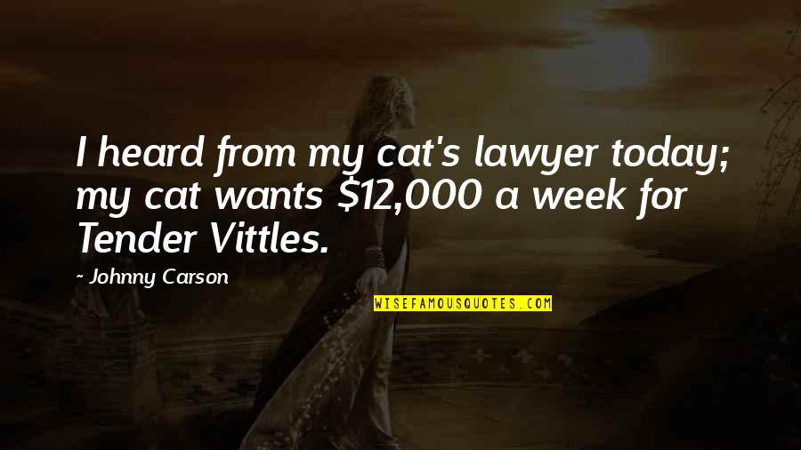 Winston Churchill And Lady Astor Quotes By Johnny Carson: I heard from my cat's lawyer today; my