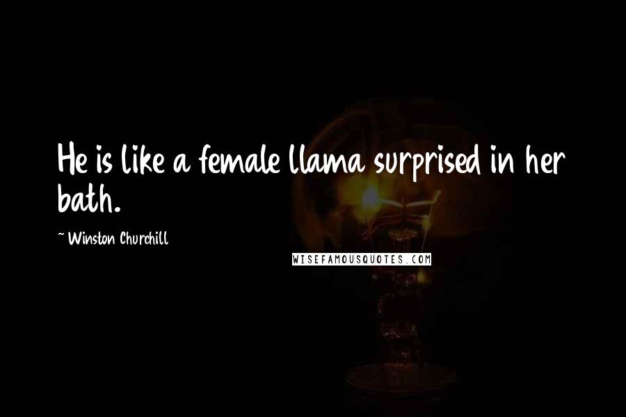 Winston Churchill quotes: He is like a female llama surprised in her bath.