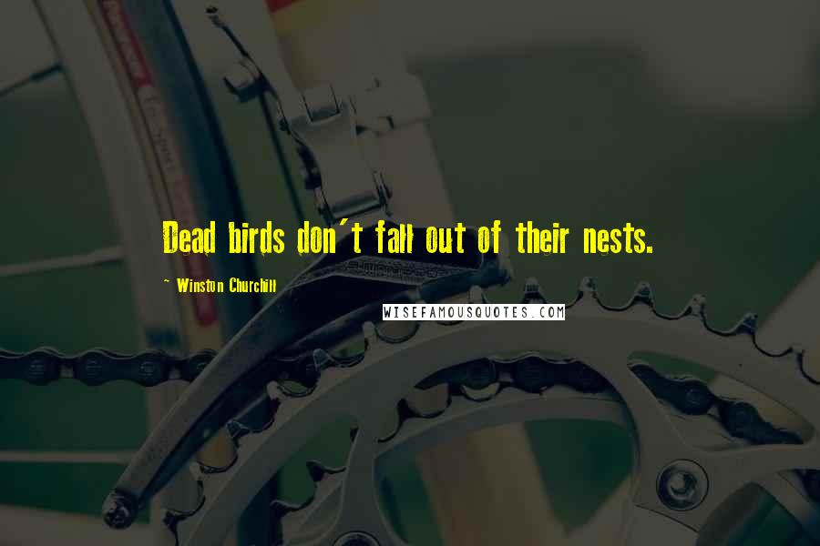 Winston Churchill quotes: Dead birds don't fall out of their nests.