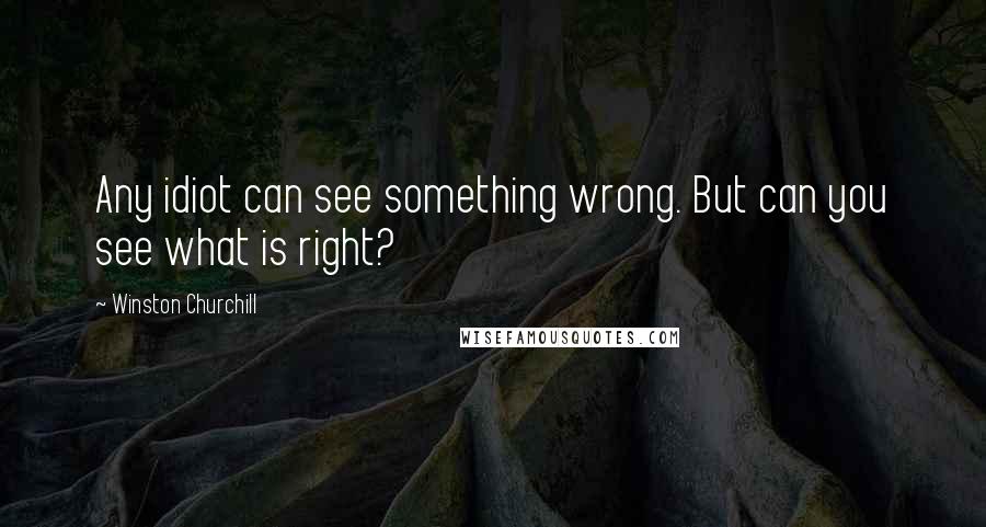 Winston Churchill quotes: Any idiot can see something wrong. But can you see what is right?