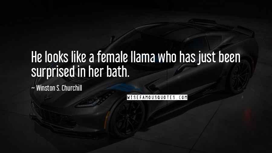 Winston S. Churchill quotes: He looks like a female llama who has just been surprised in her bath.