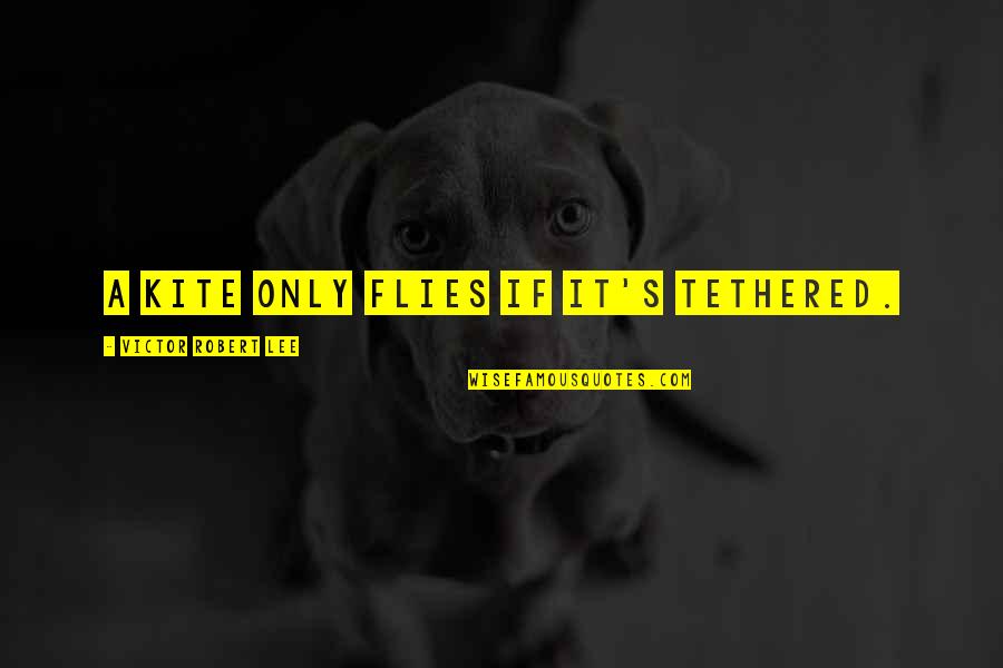 Winter Aesthetic Quotes By Victor Robert Lee: A kite only flies if it's tethered. Winter Aesthetic Quotes By Victor Robert Lee: A kite only flies if it's tethered.