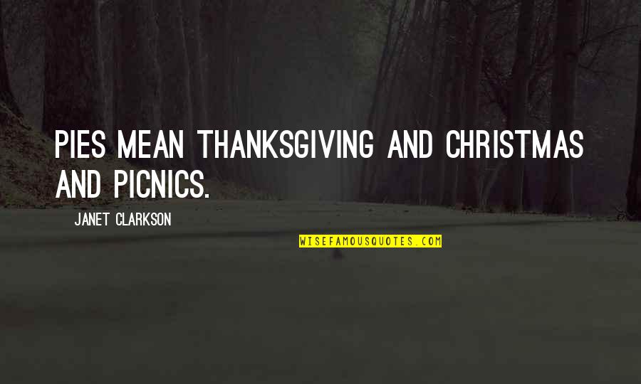 Winter And Christmas Quotes By Janet Clarkson: Pies mean Thanksgiving and Christmas and picnics.
