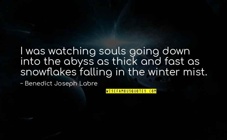 Winter And Snowflakes Quotes By Benedict Joseph Labre: I was watching souls going down into the