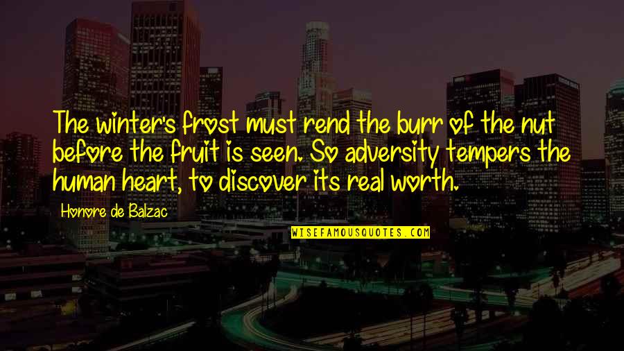 Winter Heart Quotes By Honore De Balzac: The winter's frost must rend the burr of Winter Heart Quotes By Honore De Balzac: The winter's frost must rend the burr of