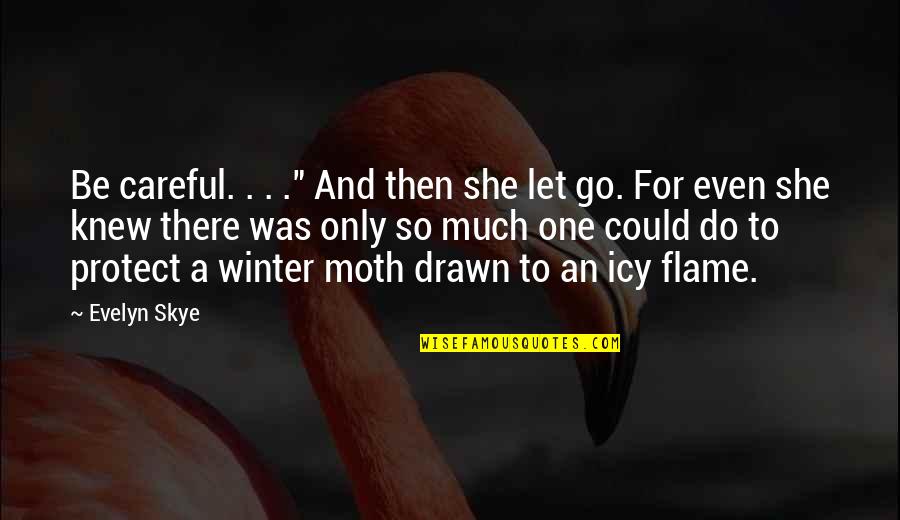 Winter Quotes By Evelyn Skye: Be careful. . . ." And then she