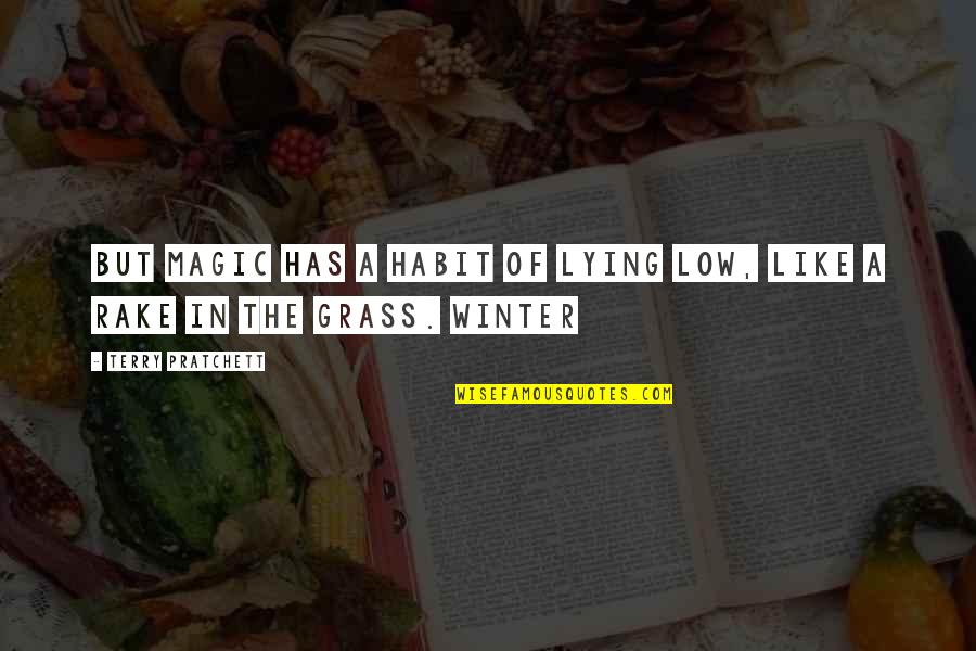 Winter Quotes By Terry Pratchett: But magic has a habit of lying low,
