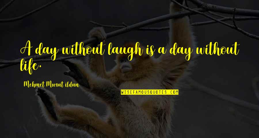Winterfall Firewater Quotes By Mehmet Murat Ildan: A day without laugh is a day without