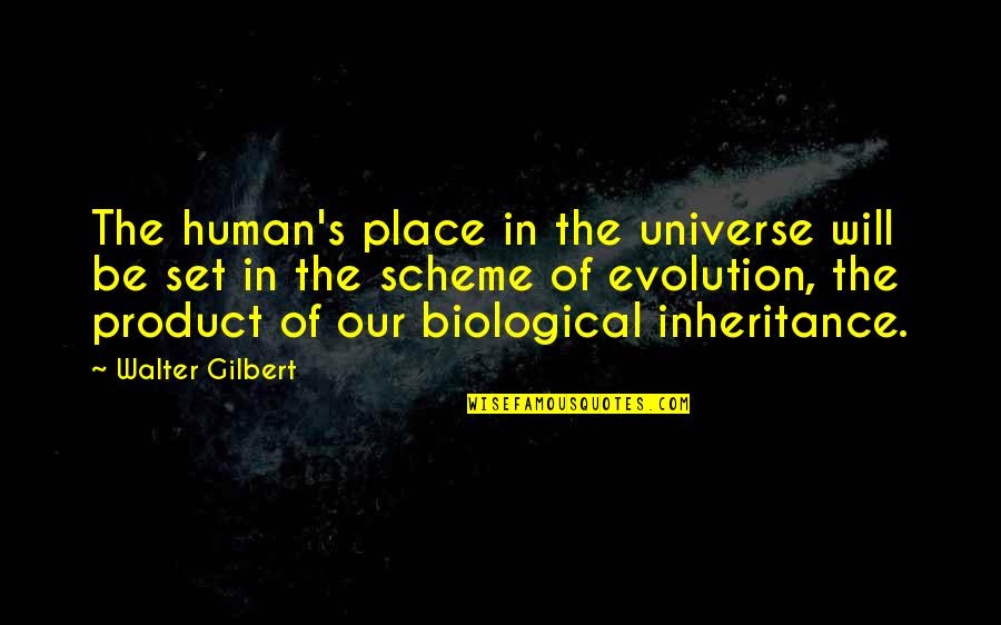 Winterlandschaft Quotes By Walter Gilbert: The human's place in the universe will be