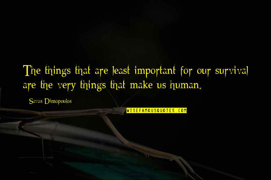 Wintery Quotes By Savas Dimopoulos: The things that are least important for our