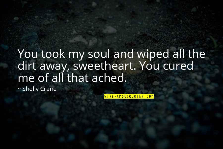 Wiped Quotes By Shelly Crane: You took my soul and wiped all the