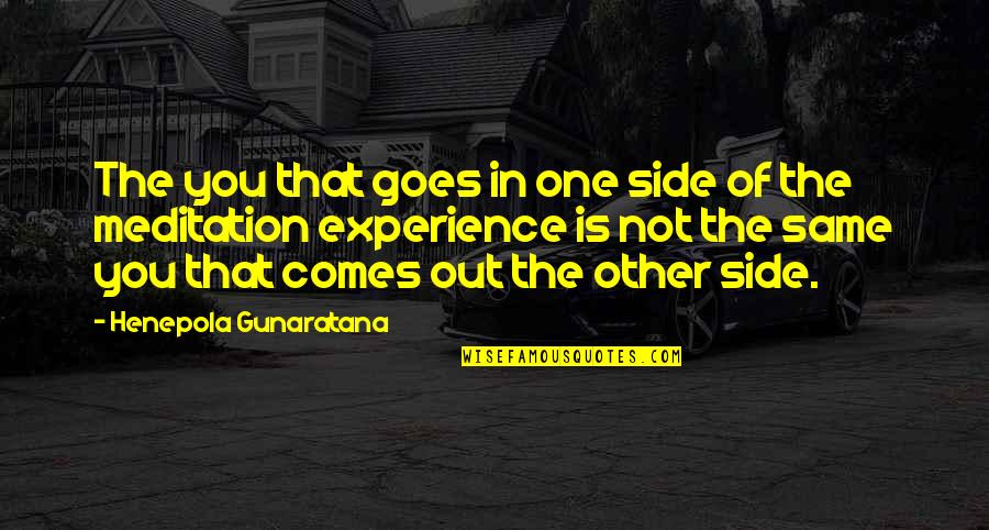 Wiping My Tears Quotes By Henepola Gunaratana: The you that goes in one side of Wiping My Tears Quotes By Henepola Gunaratana: The you that goes in one side of