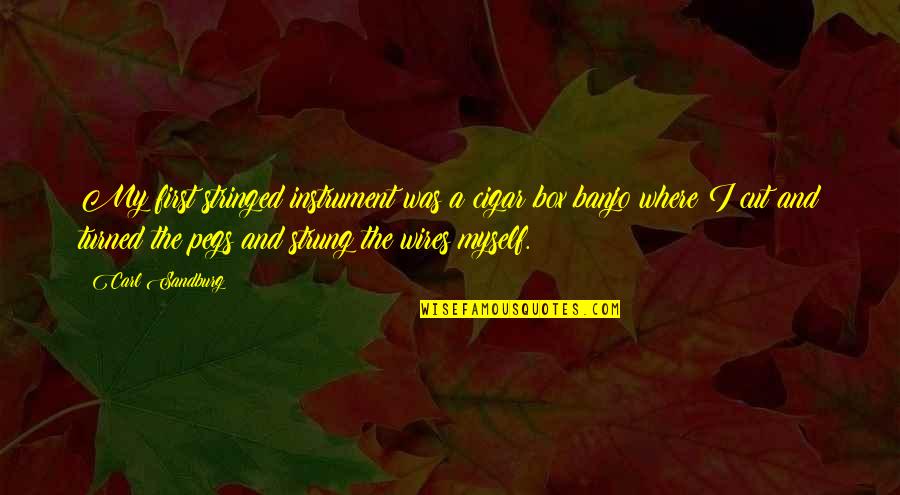 Wires Quotes By Carl Sandburg: My first stringed instrument was a cigar box Wires Quotes By Carl Sandburg: My first stringed instrument was a cigar box