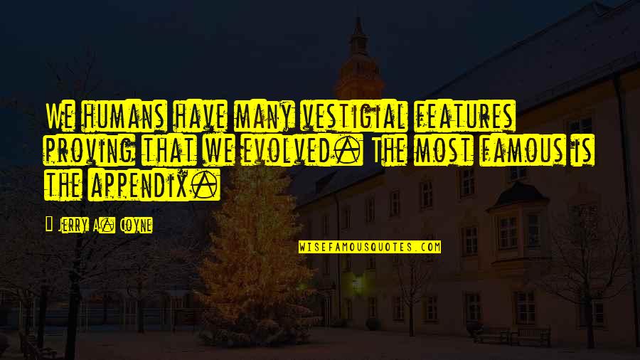 Wirken Duden Quotes By Jerry A. Coyne: We humans have many vestigial features proving that Wirken Duden Quotes By Jerry A. Coyne: We humans have many vestigial features proving that