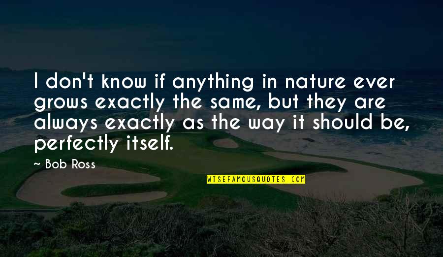 Wirtschaftlich Quotes By Bob Ross: I don't know if anything in nature ever