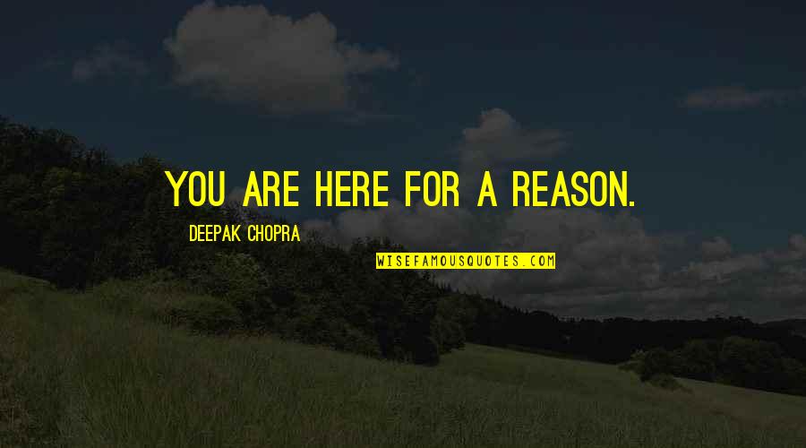 Wisconsinite Videos Quotes By Deepak Chopra: You are here for a reason.