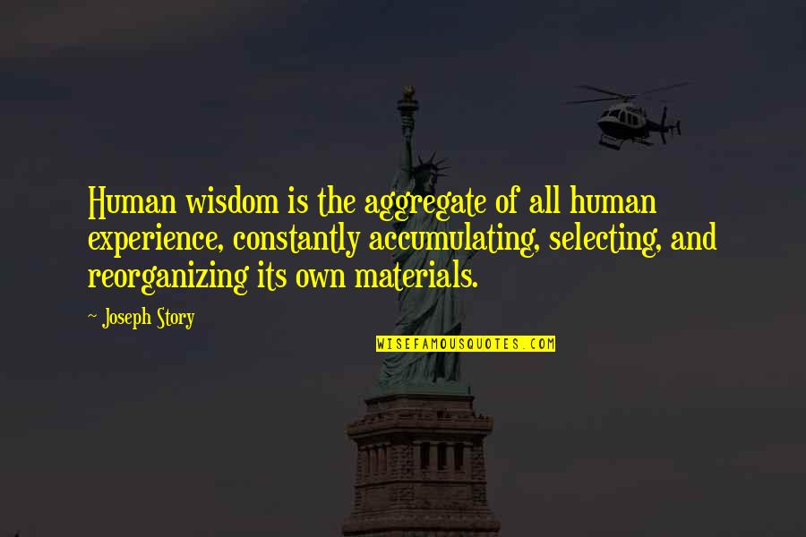 Wisdom And Experience Quotes By Joseph Story: Human wisdom is the aggregate of all human