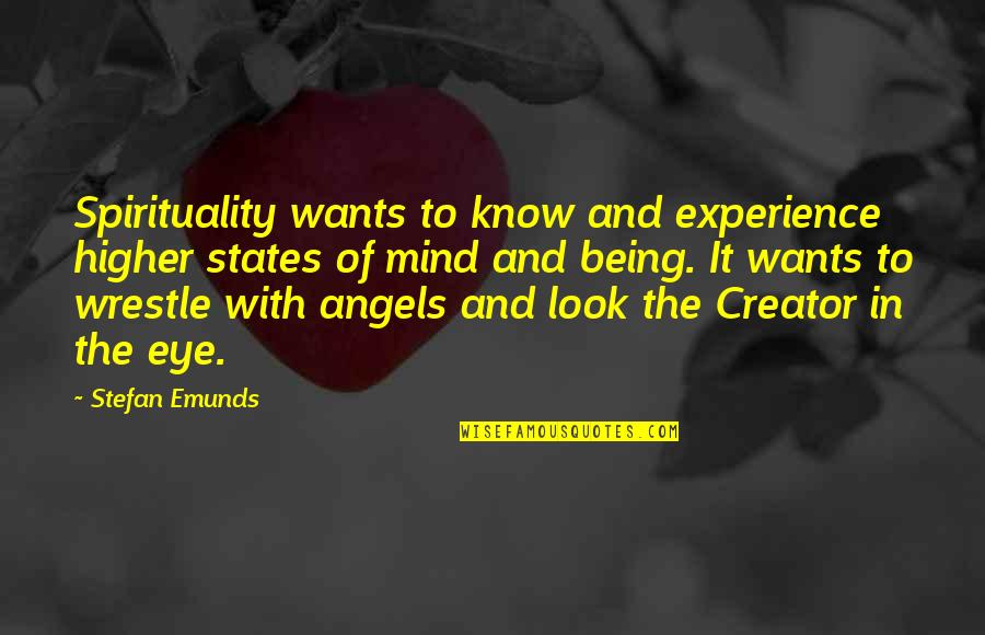 Wisdom And Experience Quotes By Stefan Emunds: Spirituality wants to know and experience higher states