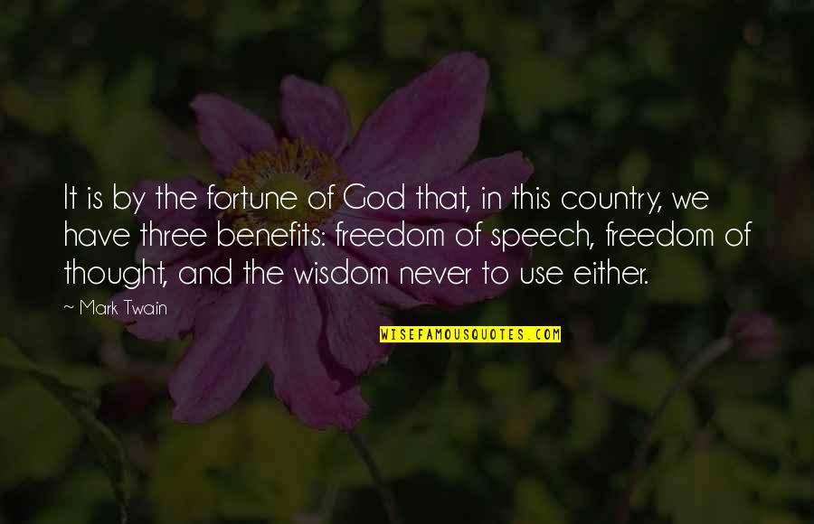 Wisdom And God Quotes By Mark Twain: It is by the fortune of God that,