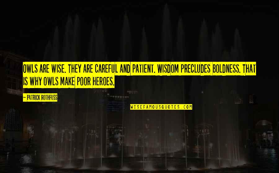 Wisdom And Owls Quotes By Patrick Rothfuss: Owls are wise. They are careful and patient. Wisdom And Owls Quotes By Patrick Rothfuss: Owls are wise. They are careful and patient.