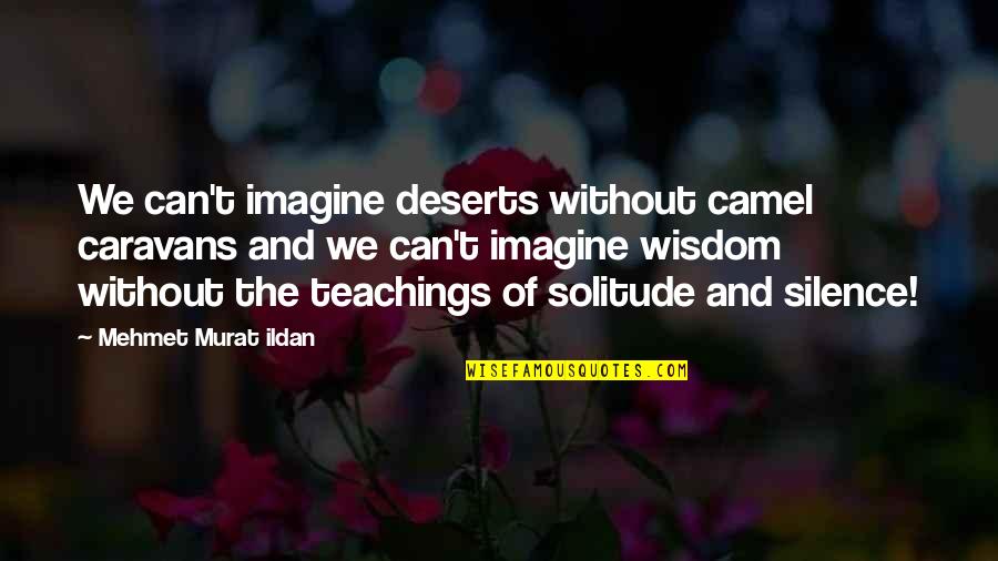 Wisdom And Silence Quotes By Mehmet Murat Ildan: We can't imagine deserts without camel caravans and