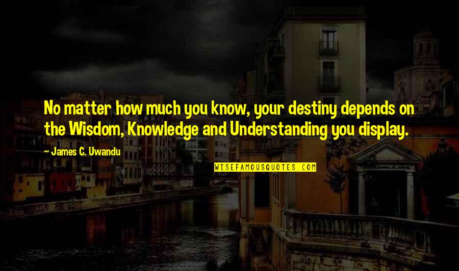 Wisdom And Understanding Quotes By James C. Uwandu: No matter how much you know, your destiny