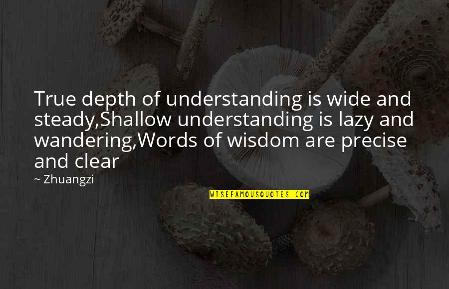 Wisdom And Understanding Quotes By Zhuangzi: True depth of understanding is wide and steady,Shallow