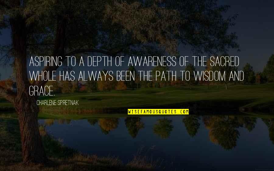 Wisdom Grace Quotes By Charlene Spretnak: Aspiring to a depth of awareness of the