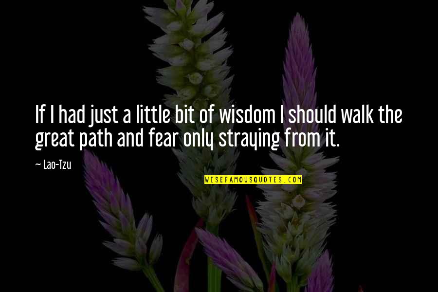 Wisdom It Quotes By Lao-Tzu: If I had just a little bit of Wisdom It Quotes By Lao-Tzu: If I had just a little bit of