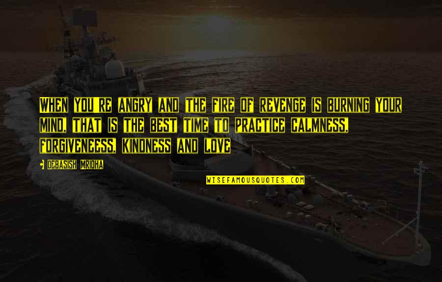 Wisdom Kindness Quotes By Debasish Mridha: When you're angry and the fire of revenge Wisdom Kindness Quotes By Debasish Mridha: When you're angry and the fire of revenge