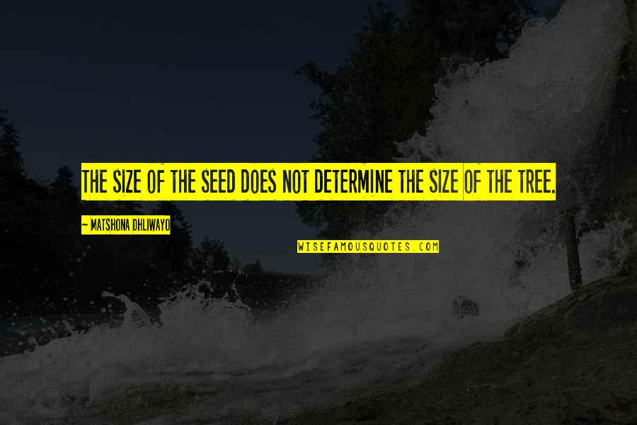 Wisdom Tree Quotes By Matshona Dhliwayo: The size of the seed does not determine