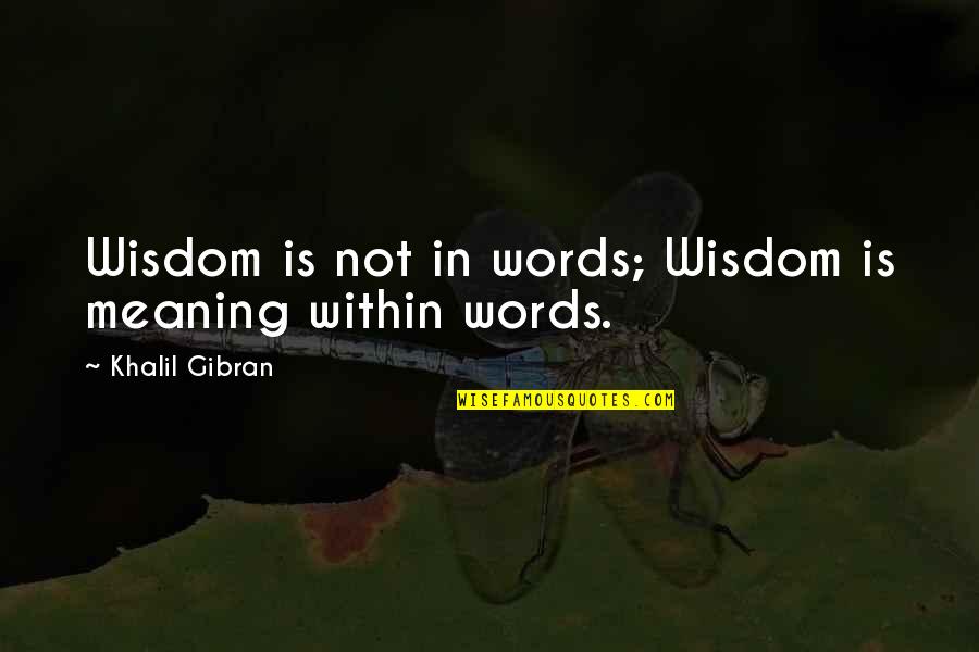 Wisdom Words Quotes By Khalil Gibran: Wisdom is not in words; Wisdom is meaning