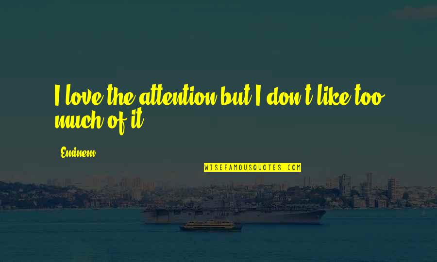 Wise Entrepreneurial Quotes By Eminem: I love the attention but I don't like