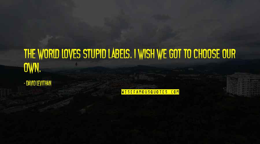 Wise Examples Quotes By David Levithan: The world loves stupid labels. I wish we