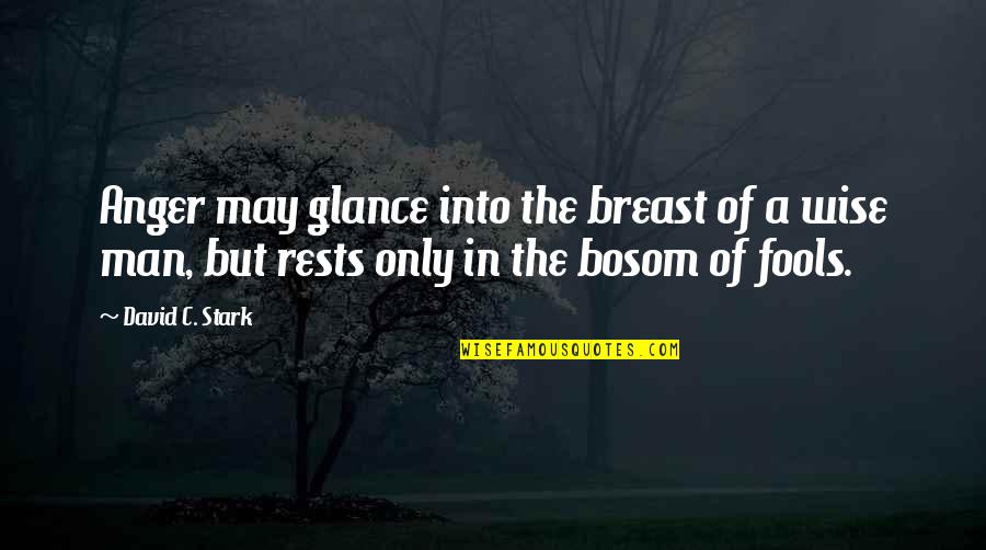 Wise Men And Fools Quotes By David C. Stark: Anger may glance into the breast of a Wise Men And Fools Quotes By David C. Stark: Anger may glance into the breast of a