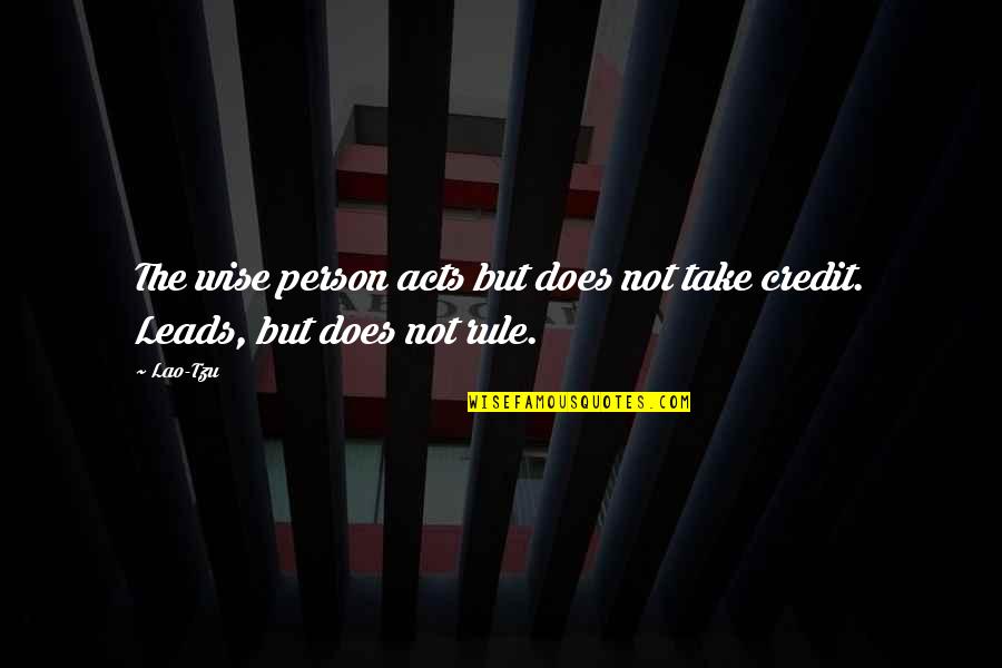 Wise Person Quotes By Lao-Tzu: The wise person acts but does not take