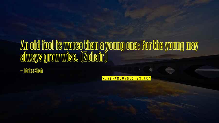 Wise Proverb Quotes By Idries Shah: An old fool is worse than a young