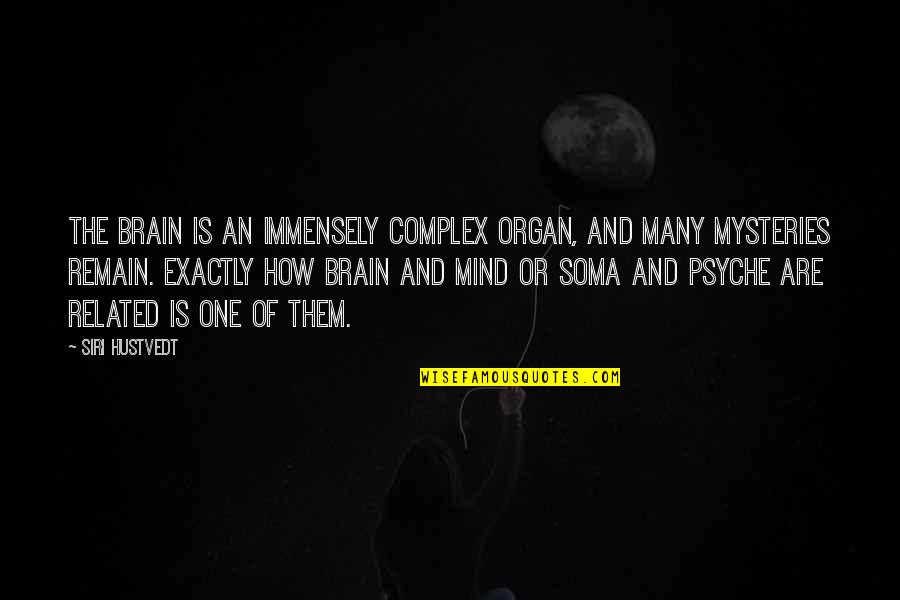Wise Respectful Quotes By Siri Hustvedt: The brain is an immensely complex organ, and Wise Respectful Quotes By Siri Hustvedt: The brain is an immensely complex organ, and