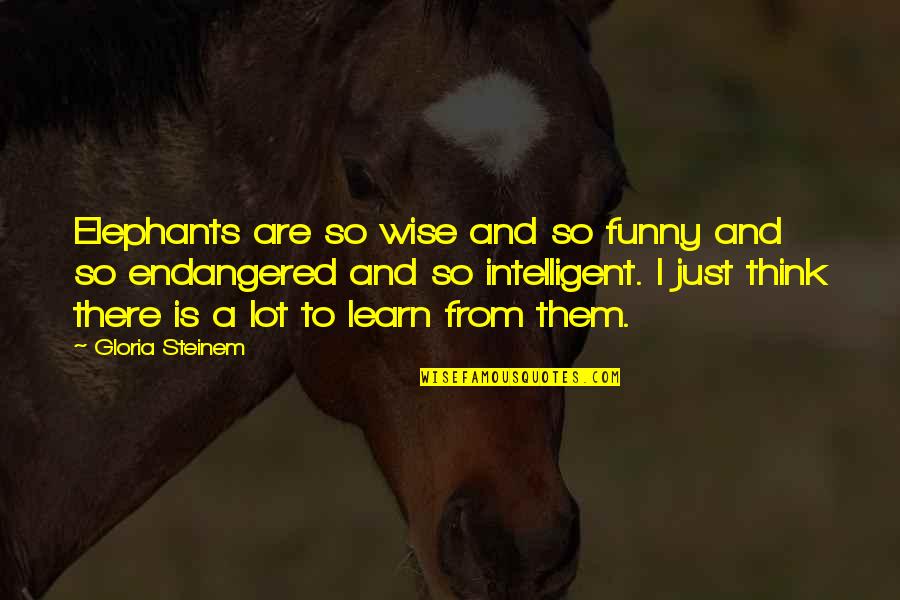 Wise Thinking Quotes By Gloria Steinem: Elephants are so wise and so funny and