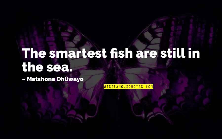 Wise Words Wisdom Quotes By Matshona Dhliwayo: The smartest fish are still in the sea.