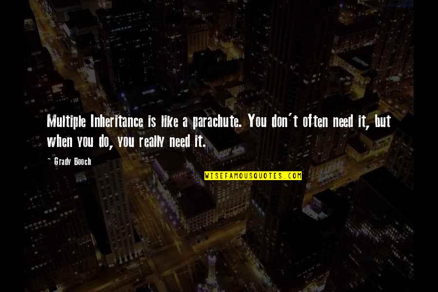Wisehammer Quotes By Grady Booch: Multiple Inheritance is like a parachute. You don't Wisehammer Quotes By Grady Booch: Multiple Inheritance is like a parachute. You don't