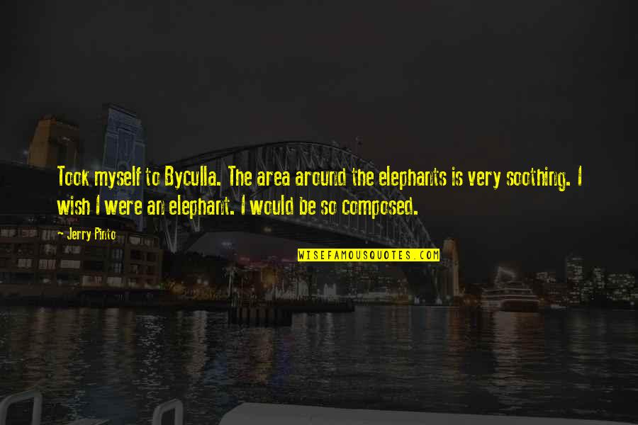 Wish For Myself Quotes By Jerry Pinto: Took myself to Byculla. The area around the